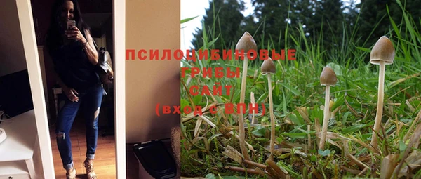 мефедрон Богородицк